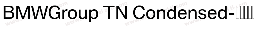 BMWGroup TN Condensed字体转换
